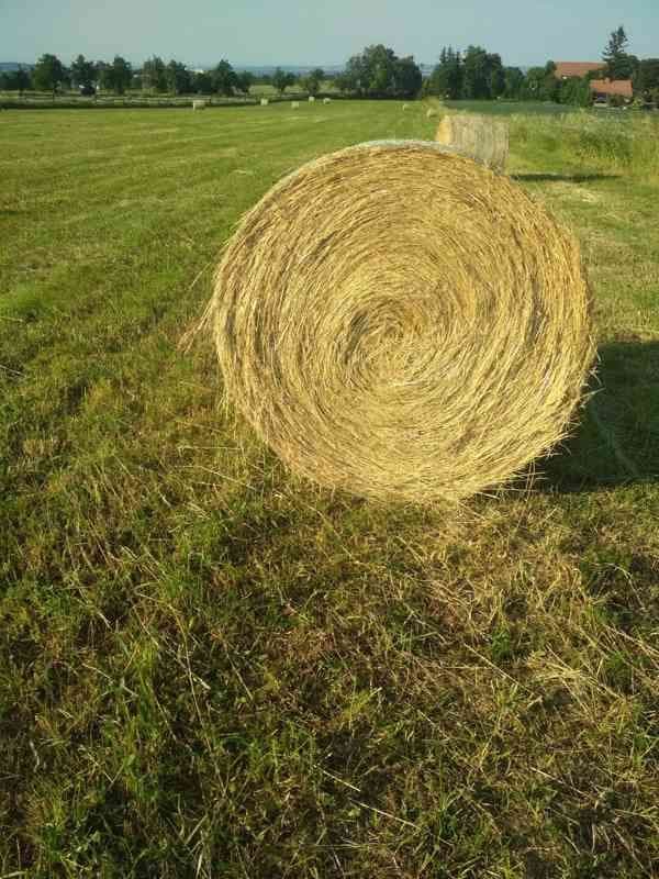 Predám kvalitné voňavé seno – okrúhle balíky 120 cm