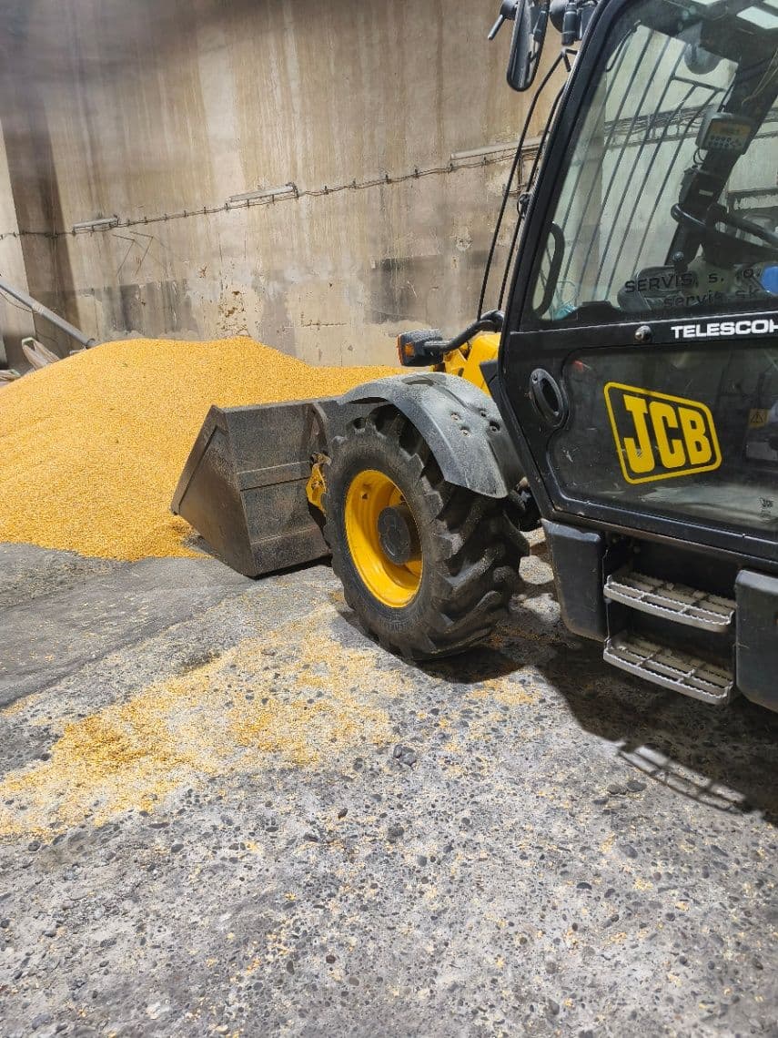 Predám sušenú kukuricu – nová úroda 2025 