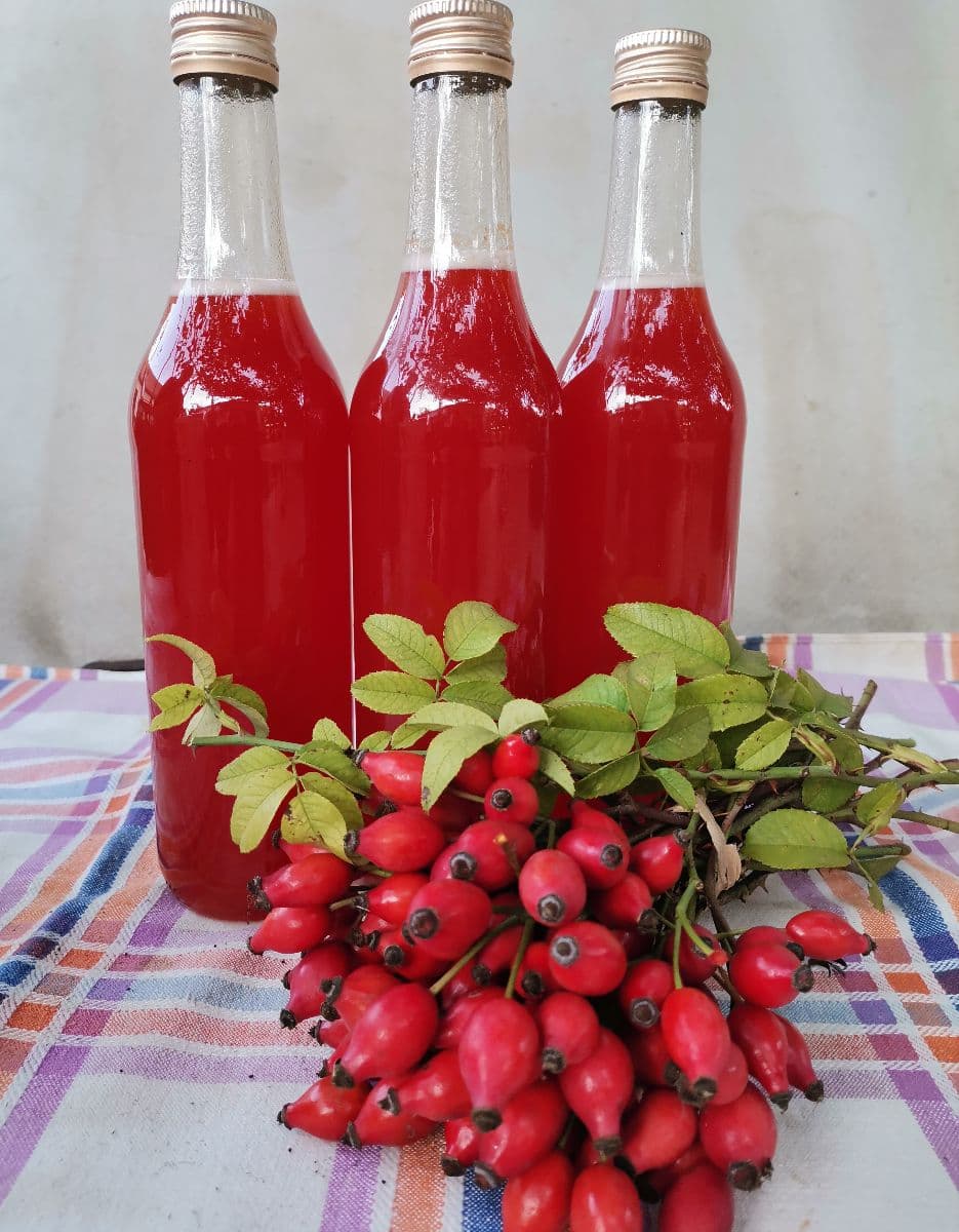 Predám šipkovy sirup na imunitu 
