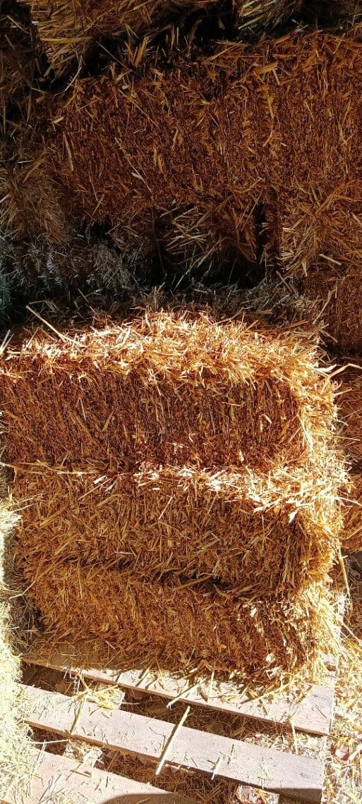 Náhľad 2