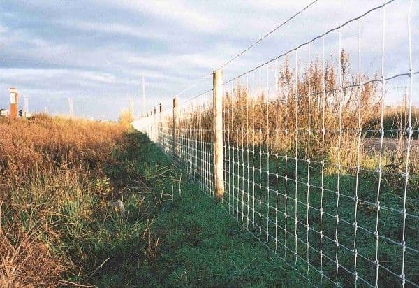 Predám uzlové a lesnícke pletivo – ideálne na oplotenie pastvín, lúk a lesov