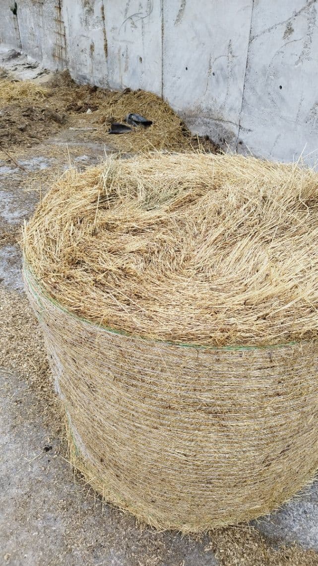 Seno- okrúhle balíky 120cm