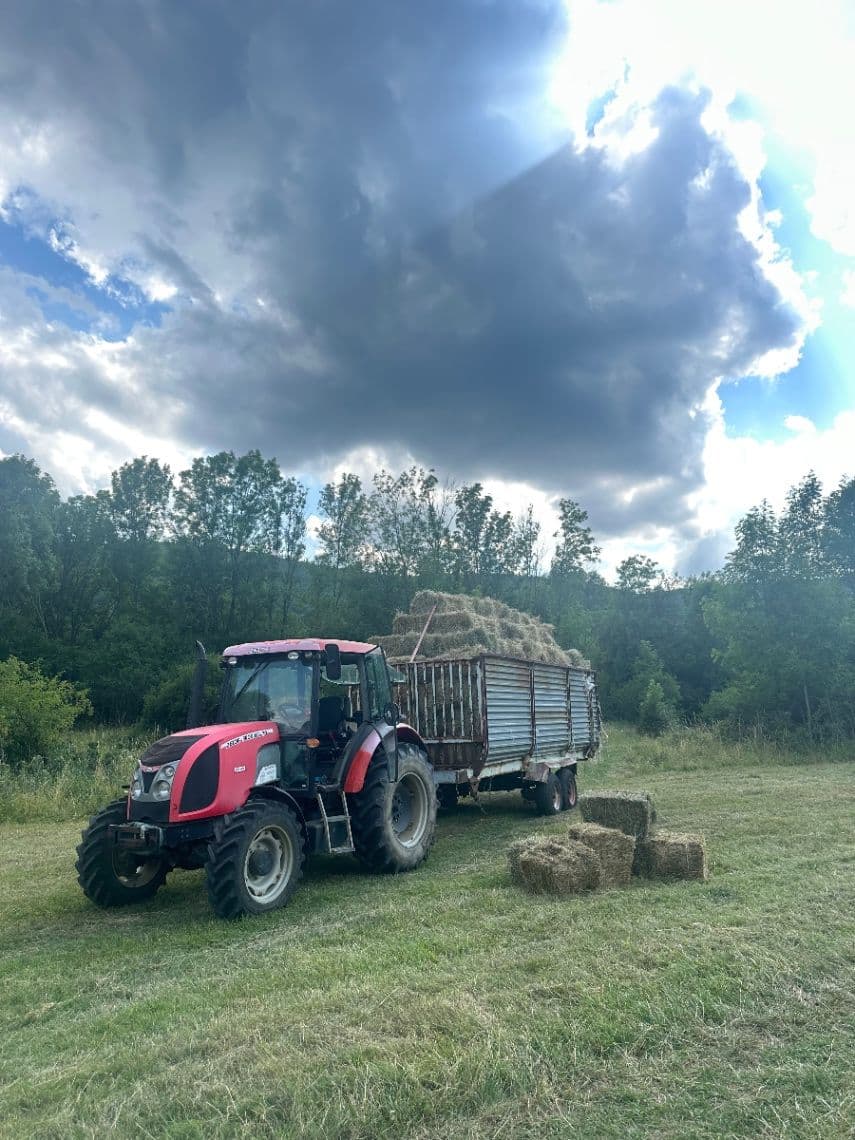 Zetor Proxima 70