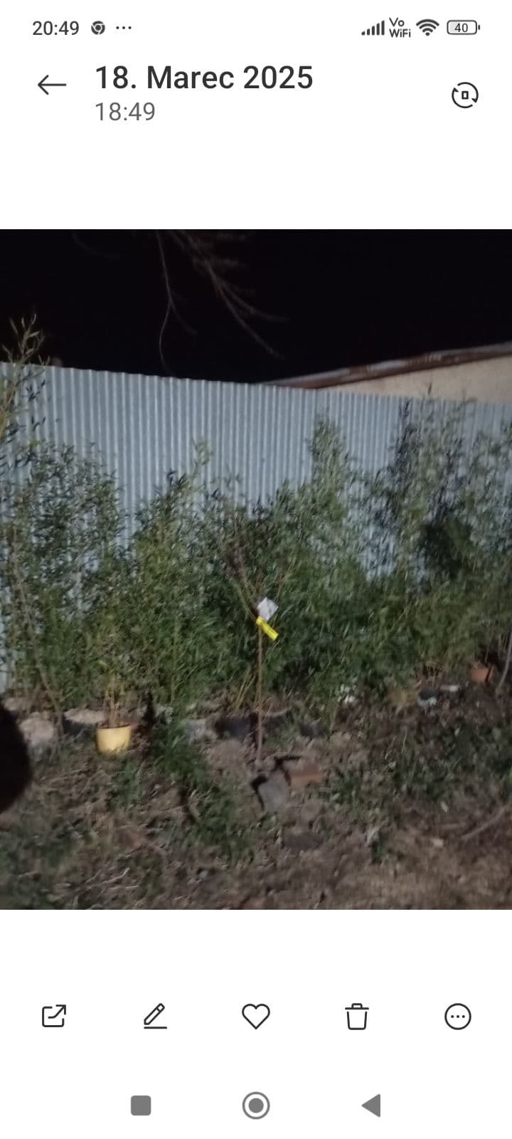 Náhľad 2