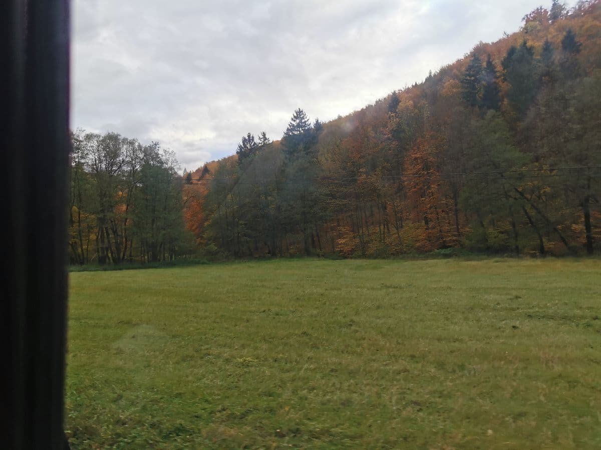 Predám lesy, ornú pôdu a lúky – Rešov, okres Bardejov