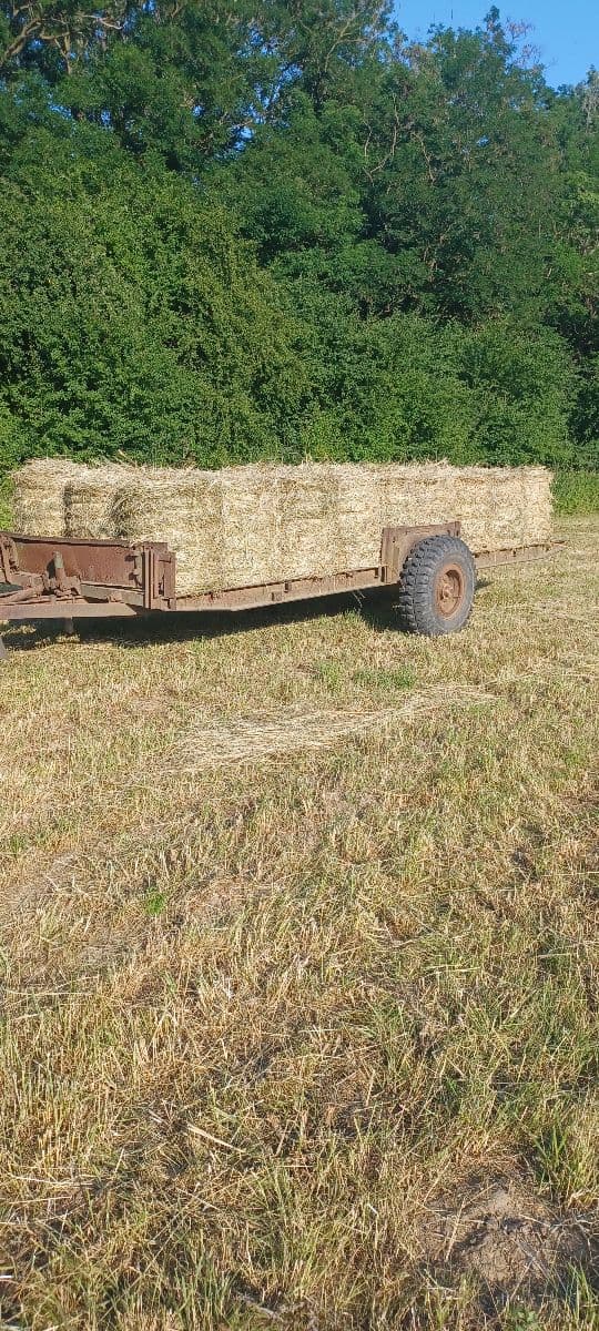 Náhľad 6