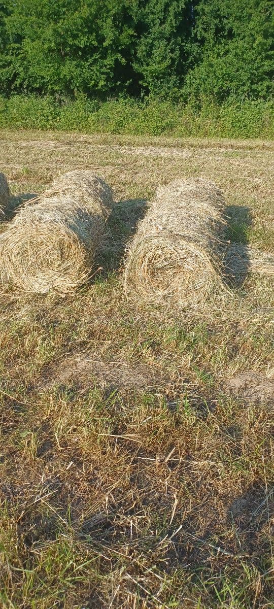 Náhľad 2
