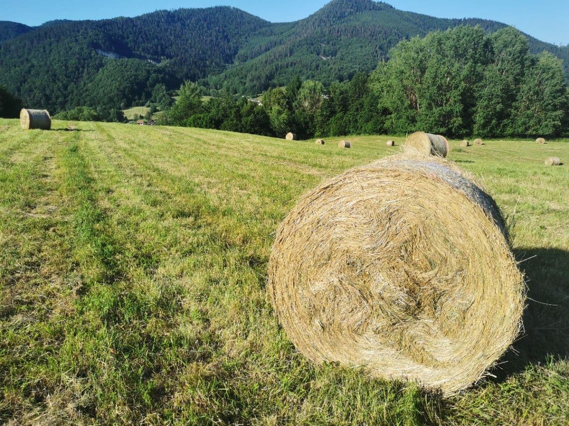 Náhľad 3