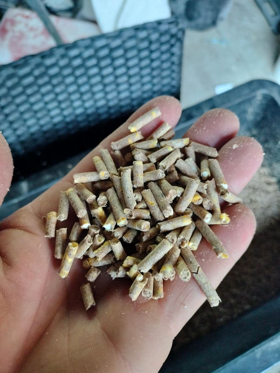 Kŕmne pelety