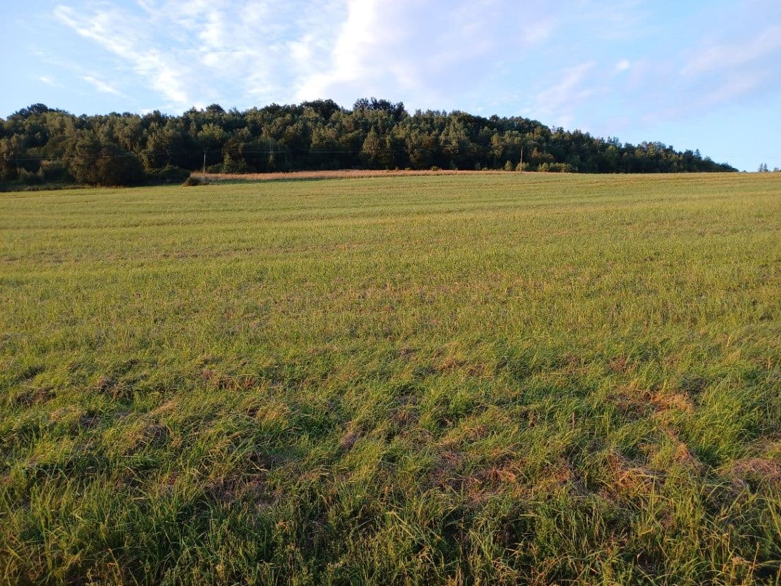 Mulčovanie 
