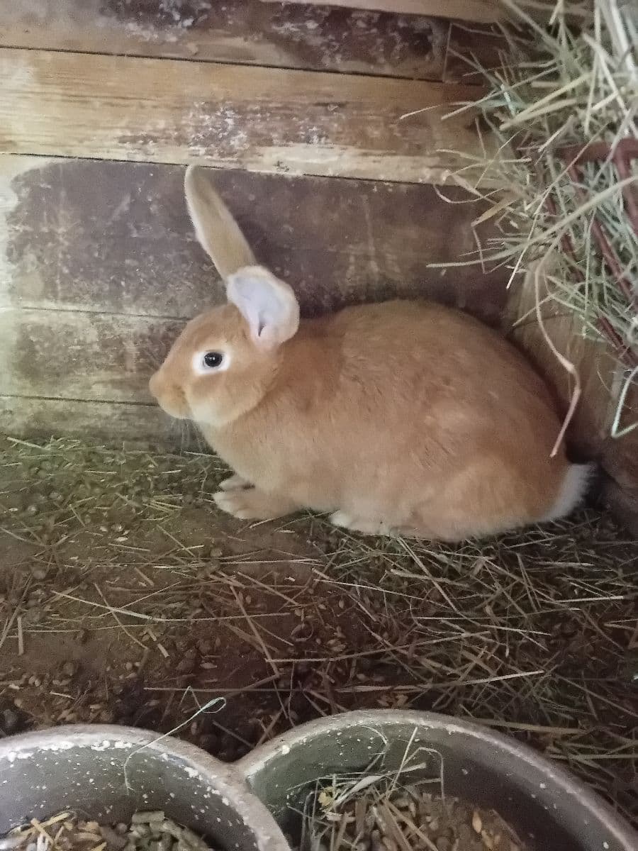 Náhľad 3