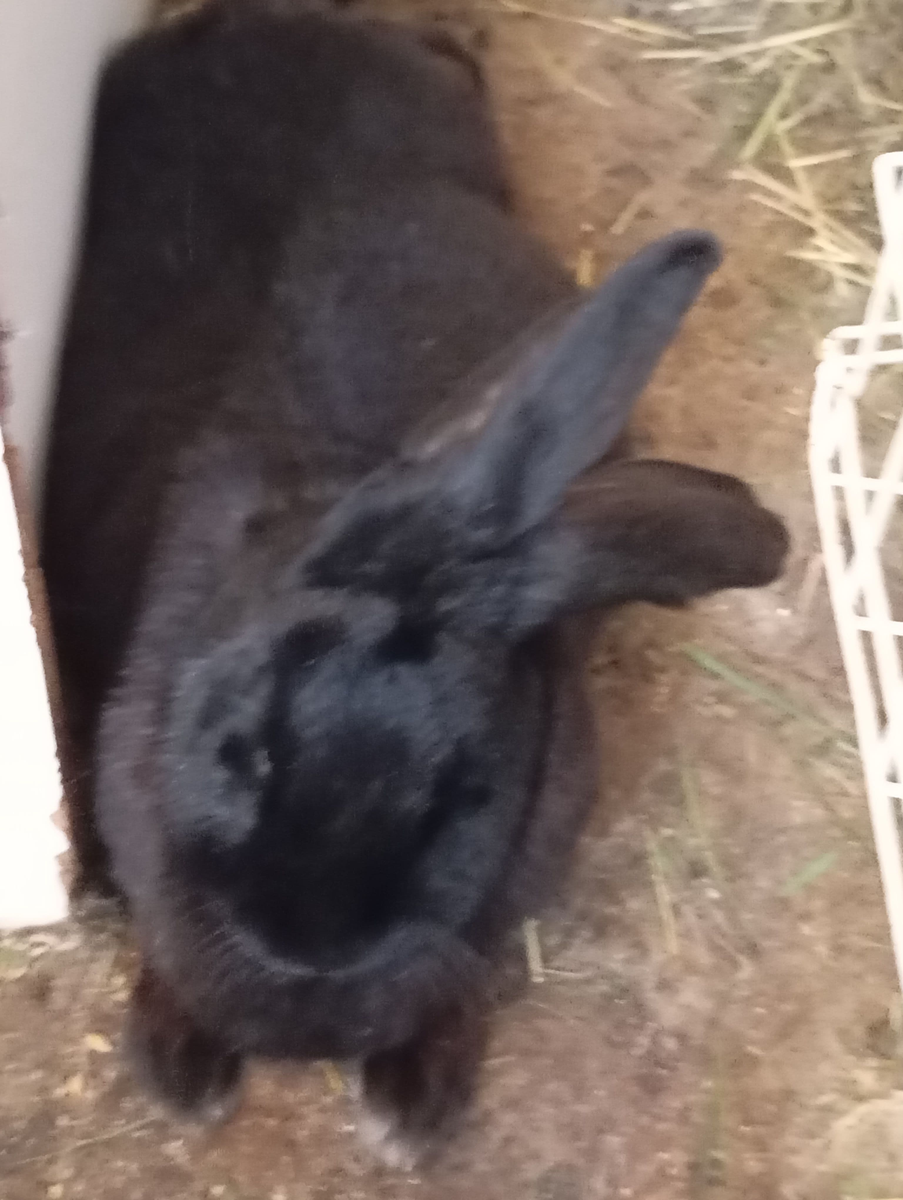 Náhľad 2