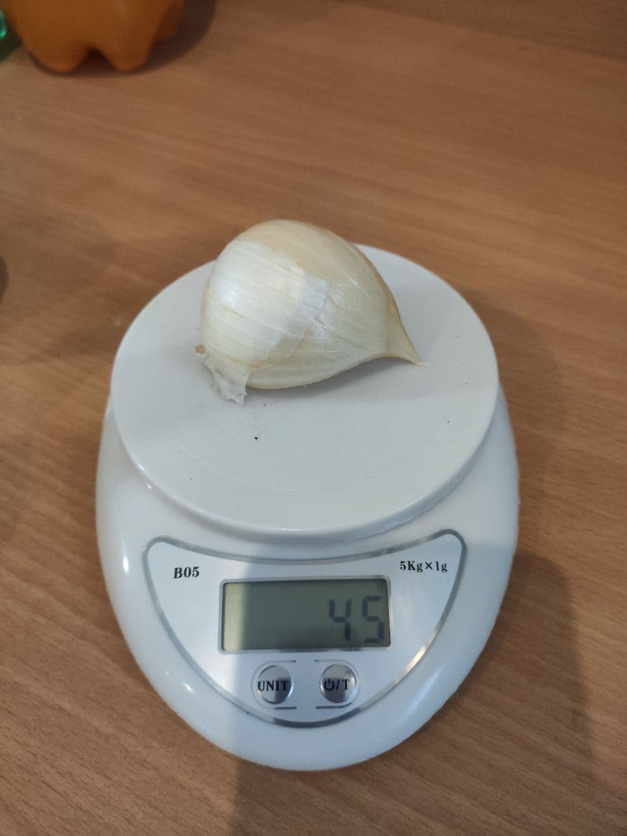 Náhľad 3