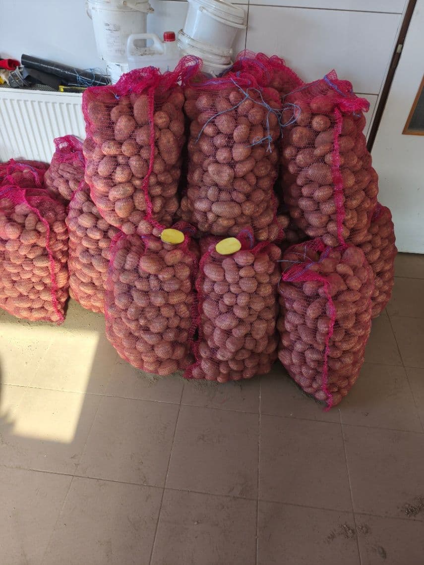 Predám domáce zemiaky 