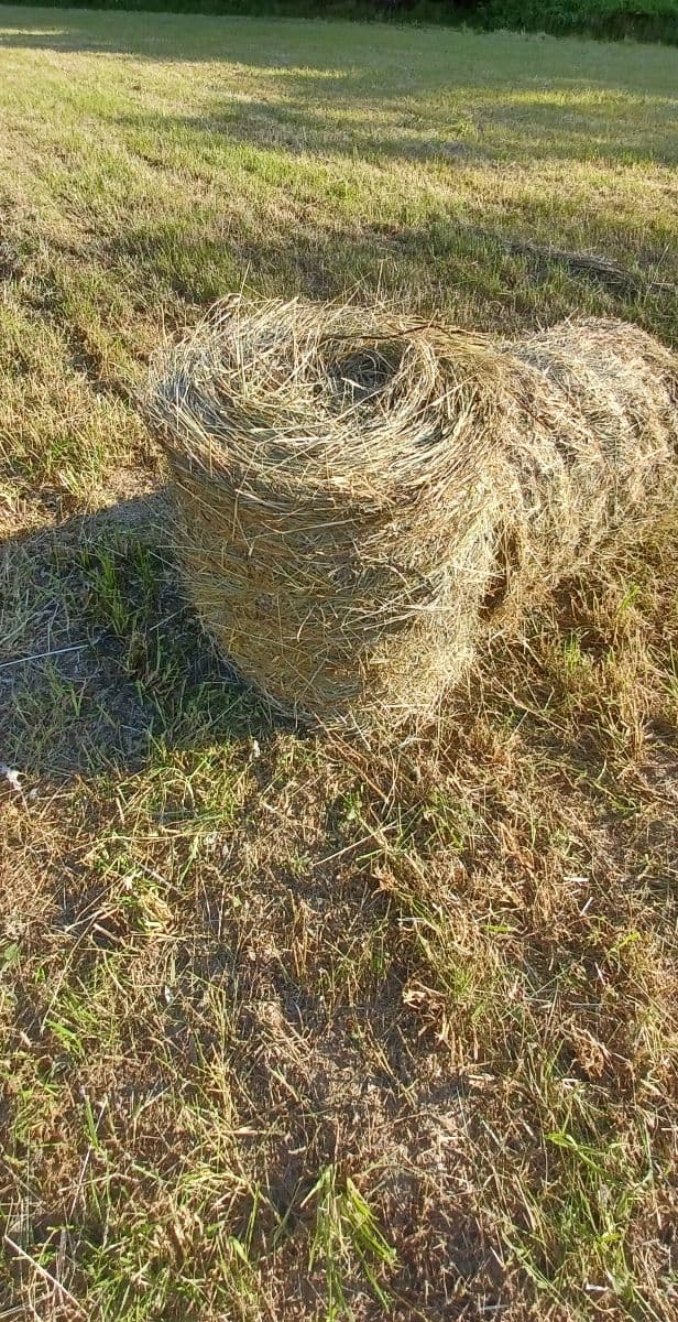 Predám seno a lucerku