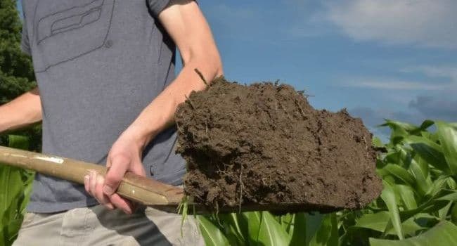 🌾 Zoberiem do prenájmu ornú pôdu – okolie Senca a blízke obce