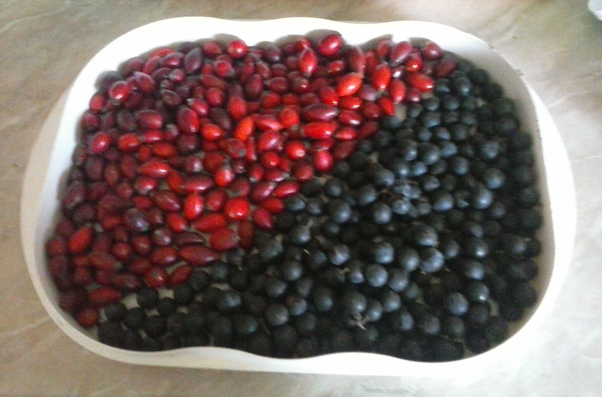 Sušené šípky, hloh a trnky – 100% prírodné