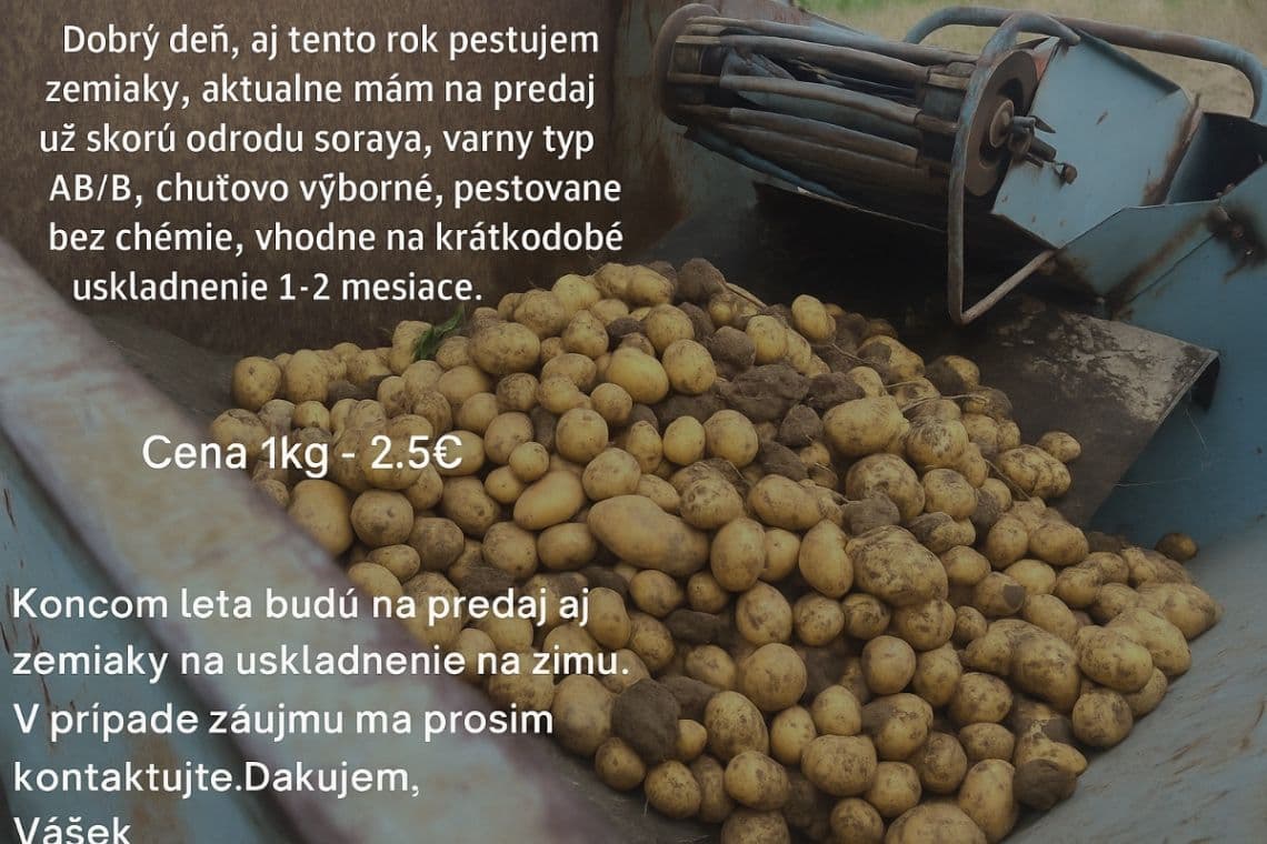 ZEMIAKY NA PREDAJ – odroda Soraya