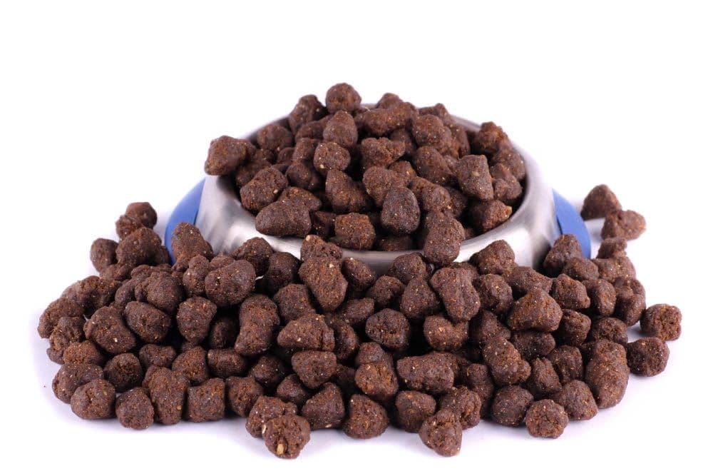 Predám krmivá pre psy – kvalitné granule, konzervy a doplnky výživy