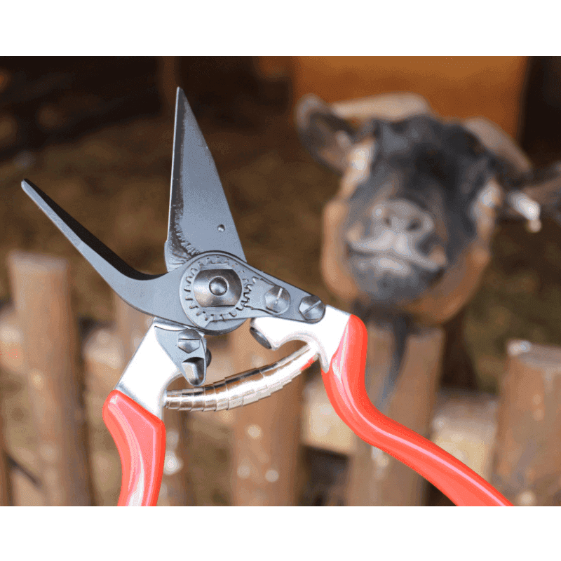 Predám náradie na ošetrovanie paznechtov – pre hovädzí dobytok, ovce, kozy a ošípané